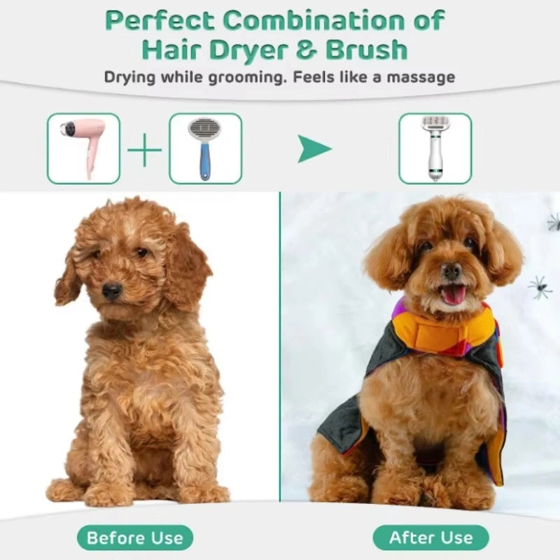 Before and after grooming of a dog with text about hair dryer and brush combination.