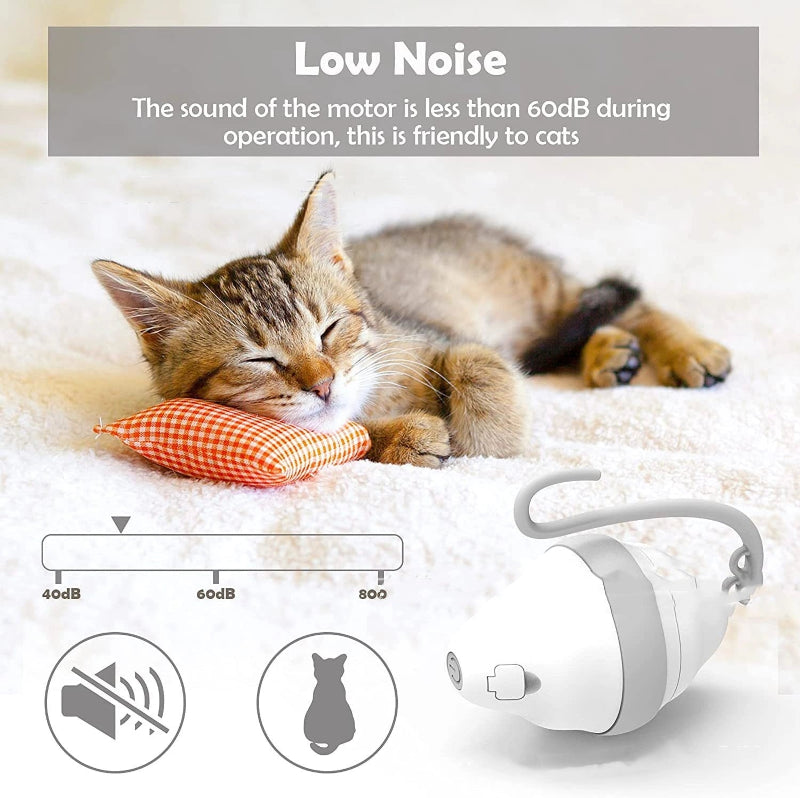 Cat sleeping with a small white device labeled 'Low Noise' on a soft surface.
