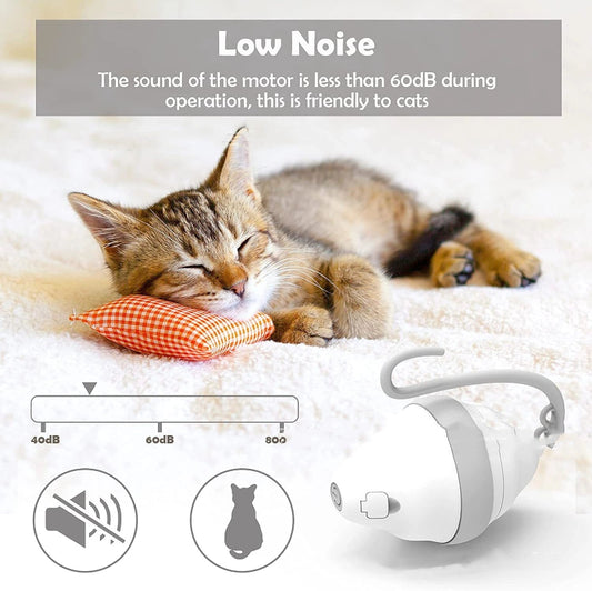 Cat sleeping with a small white device labeled 'Low Noise' on a soft surface.