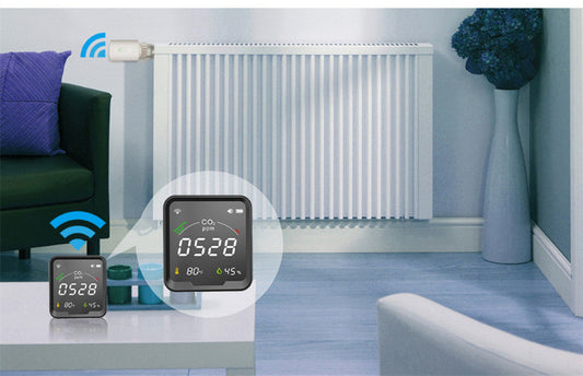 Digital temperature controller with a radiator and living room setting