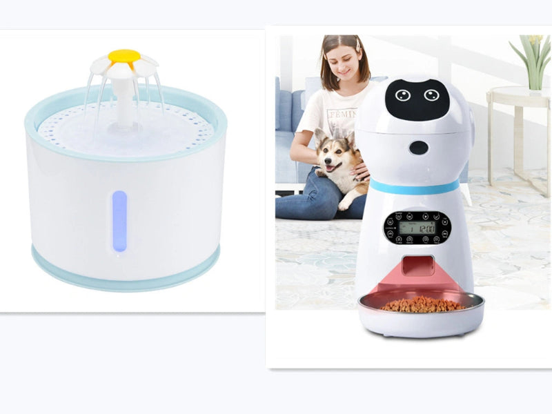 Pet water fountain and food dispenser with a woman and dog in the background.