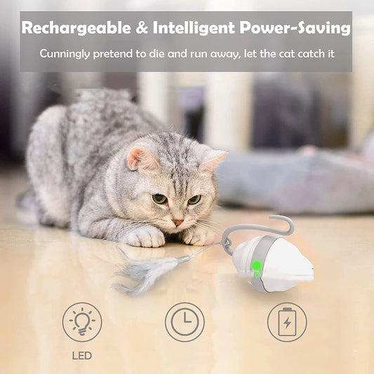 Cat playing with a toy that resembles a small cone with LED light and timer, on a blurred indoor background.